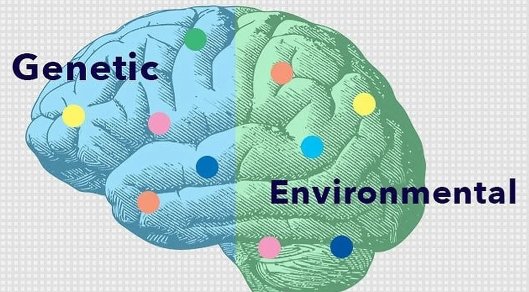 Why Does Autism Happen?